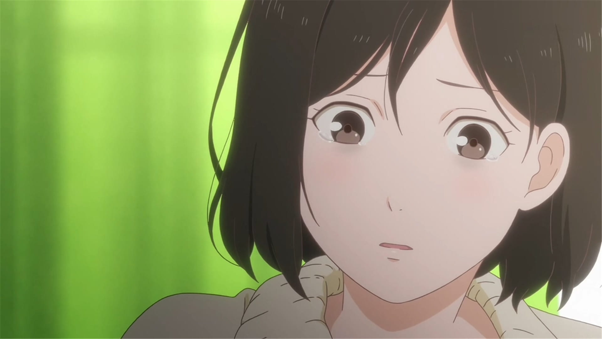 新海诚 她和她的猫人物动漫电脑壁纸下载