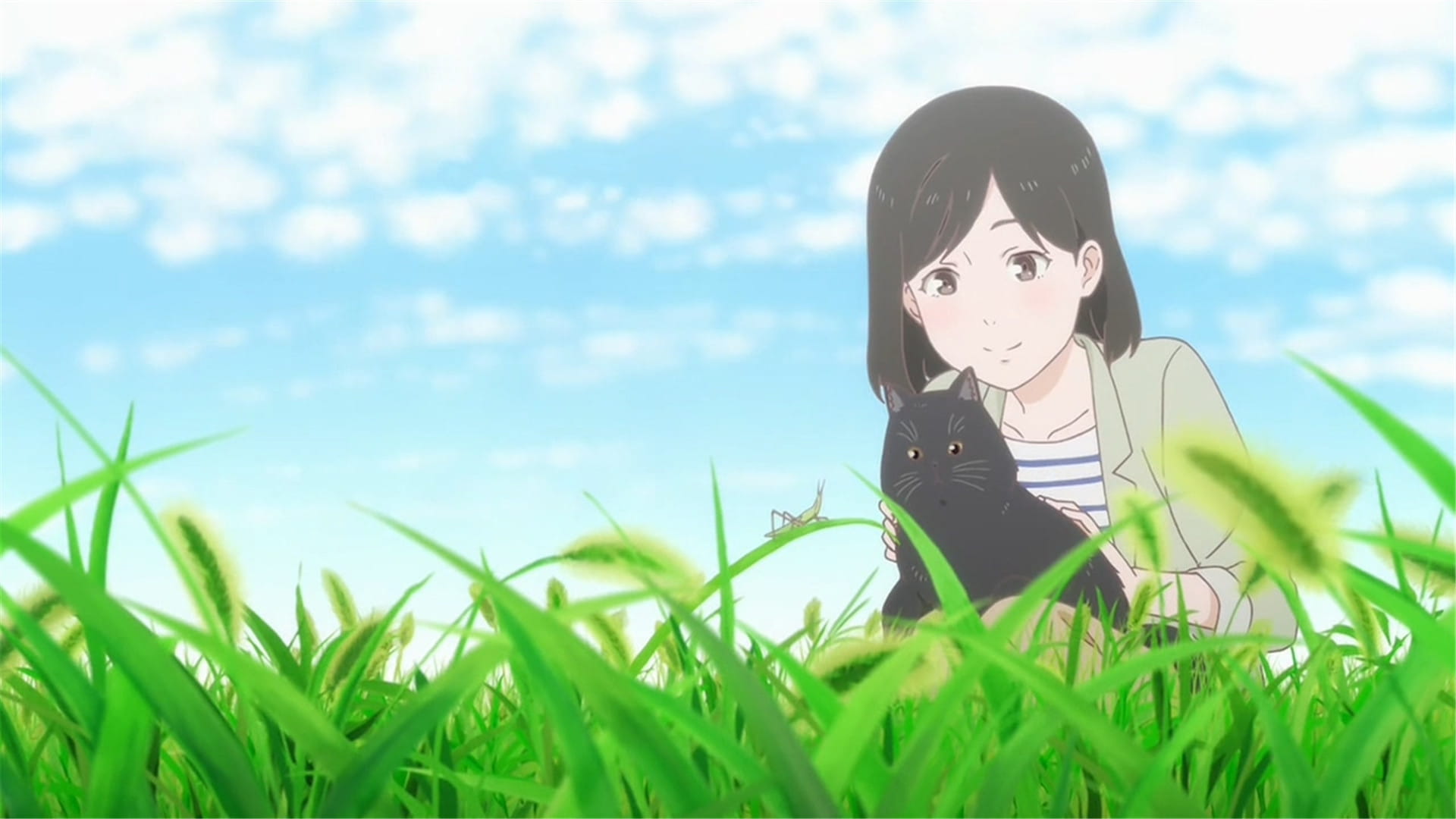 新海诚 她和她的猫人物动漫电脑壁纸下载