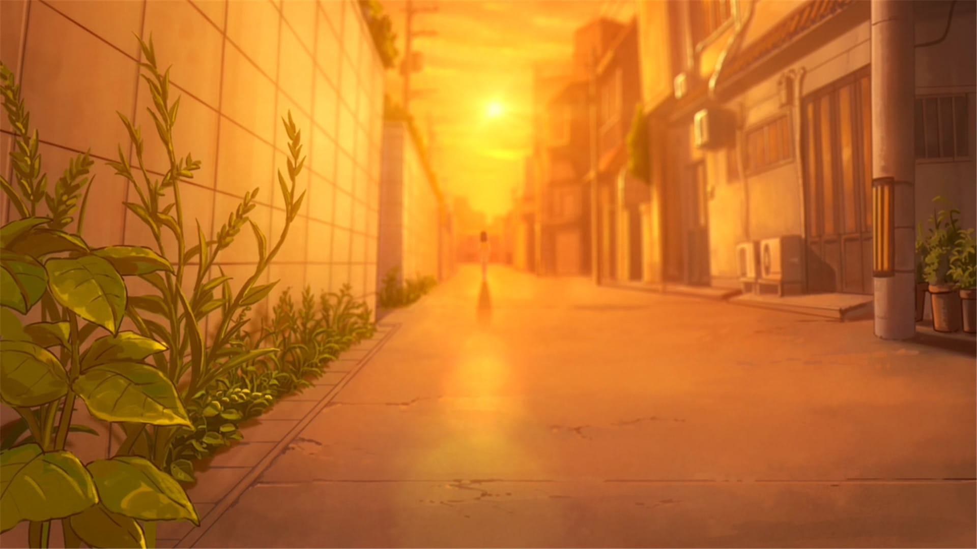 新海诚 她和她的猫唯美风景 动漫电脑壁纸下载