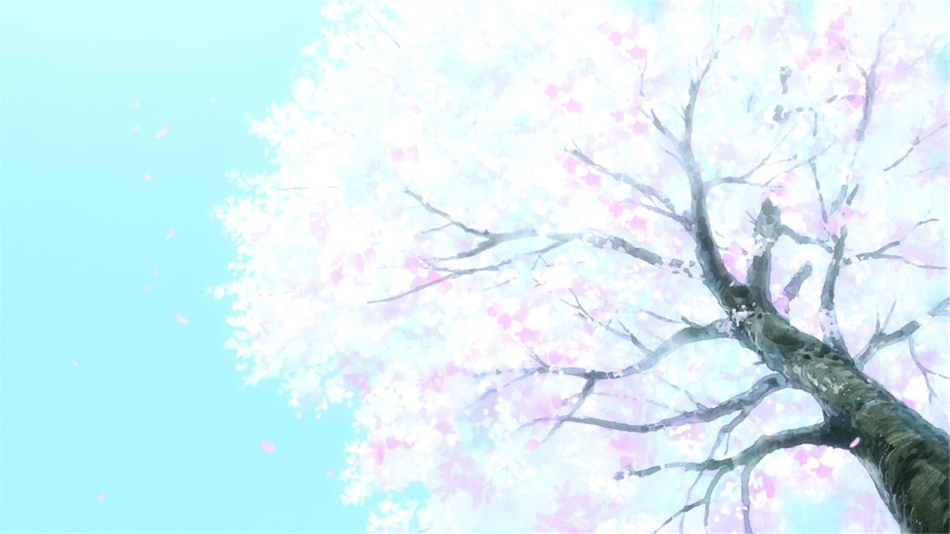 新海诚 她和她的猫唯美风景 动漫电脑壁纸下载