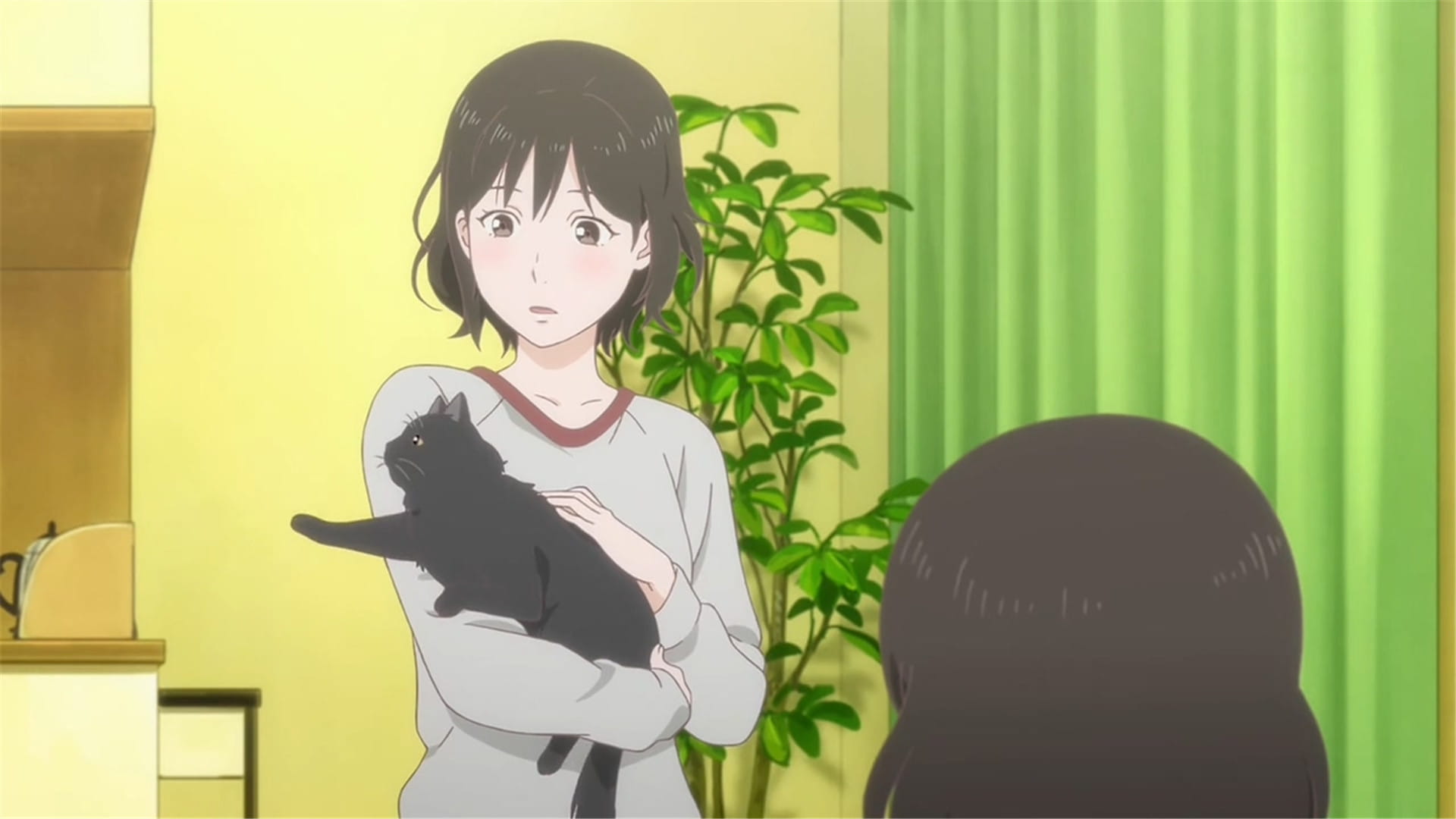 新海诚 她和她的猫唯美人物剧照 动漫电脑壁纸下载