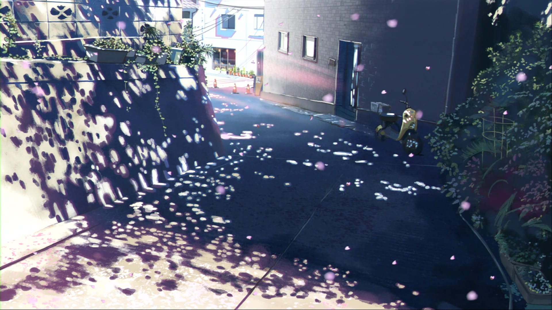 新海诚 秒速五厘米 唯美动漫电脑壁纸下载