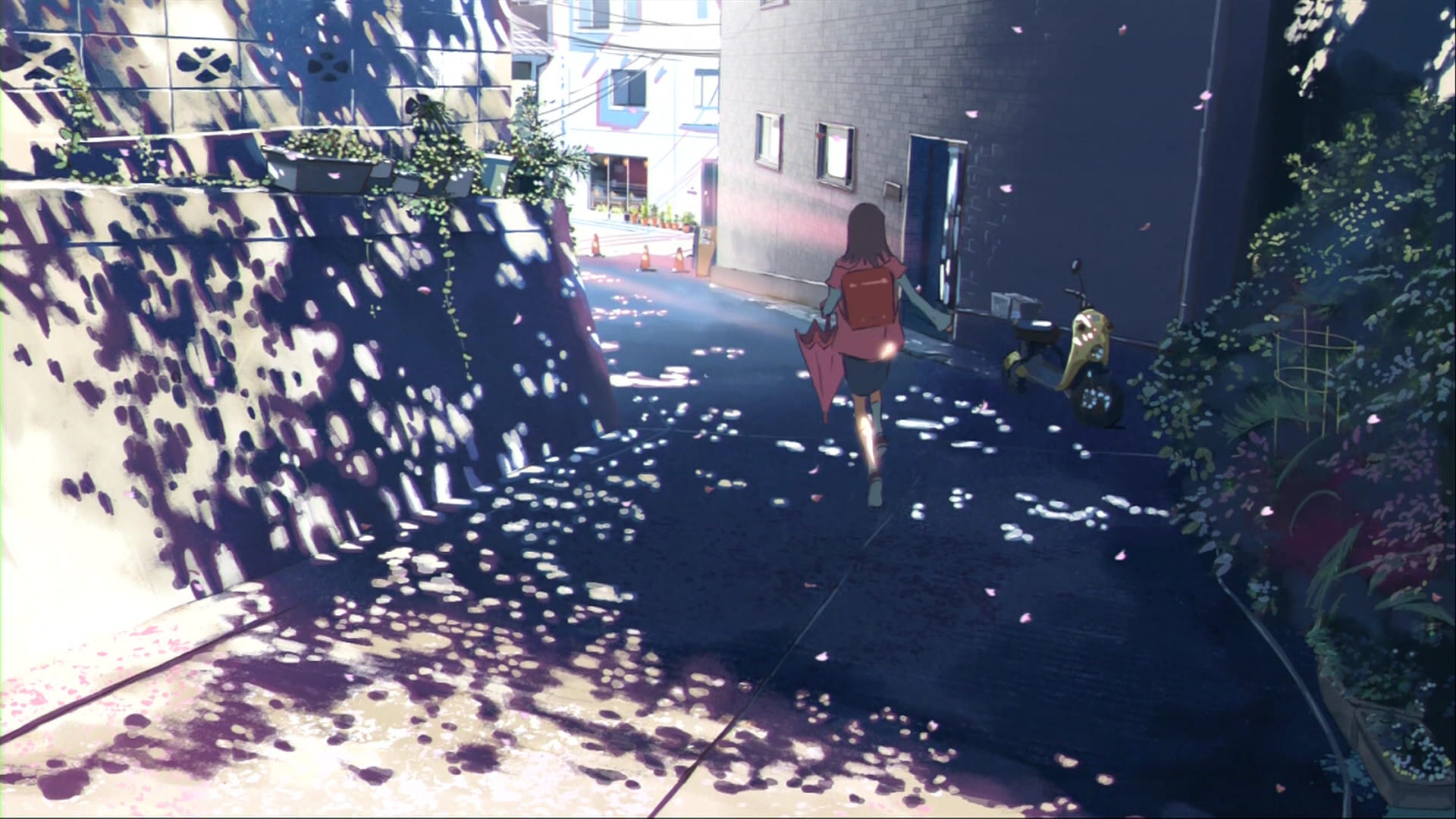 新海诚 秒速五厘米 唯美动漫电脑壁纸下载