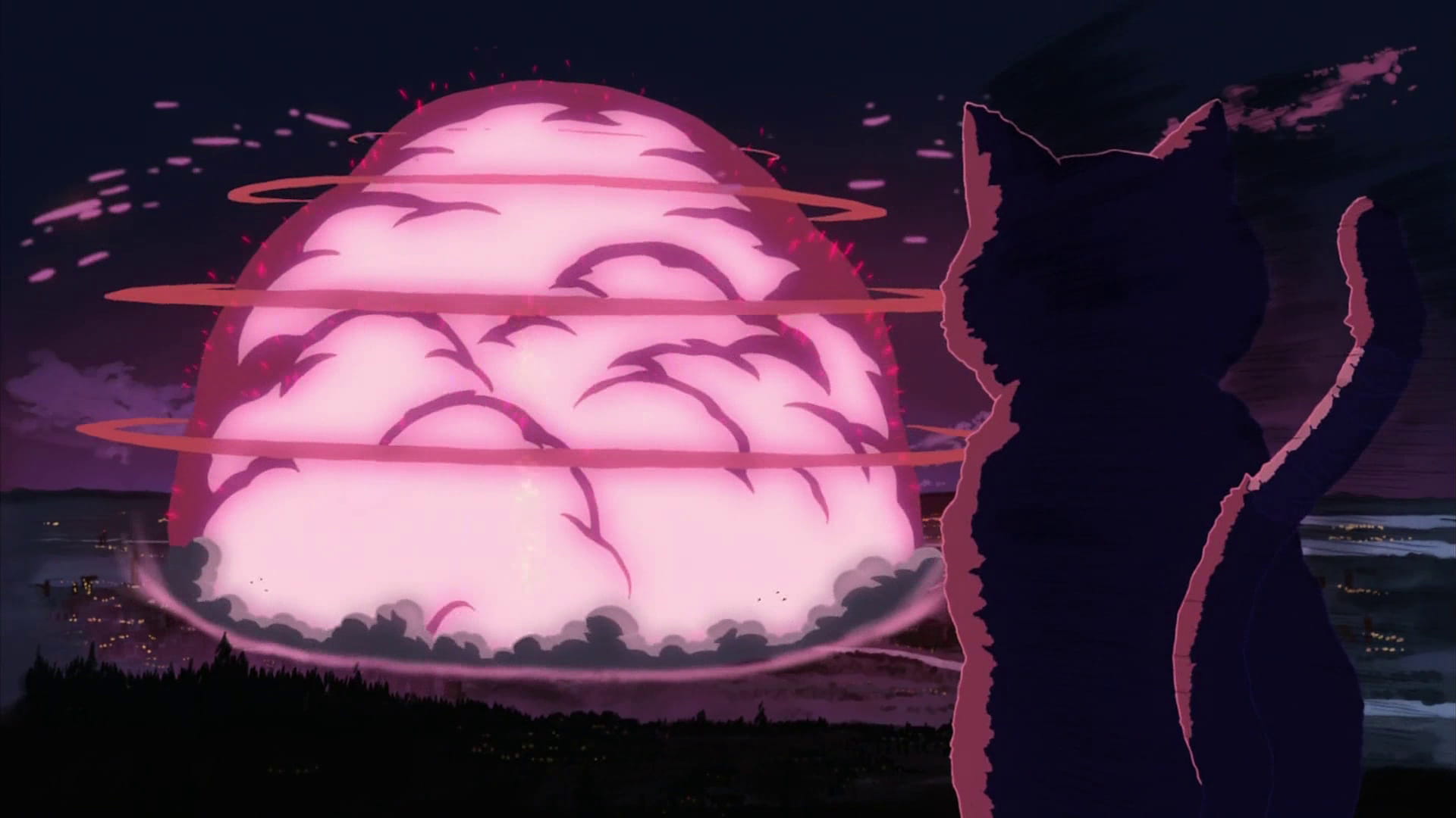 新海诚作品 猫的集会 动漫电脑壁纸下载