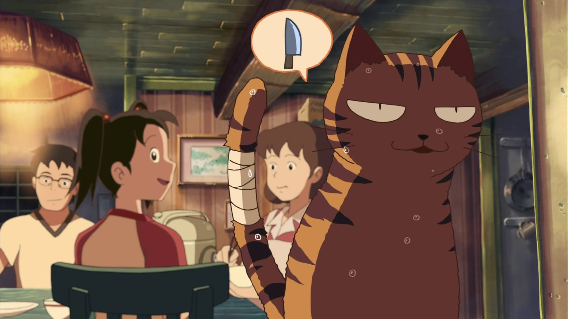 新海诚作品 猫的集会 动漫电脑壁纸下载