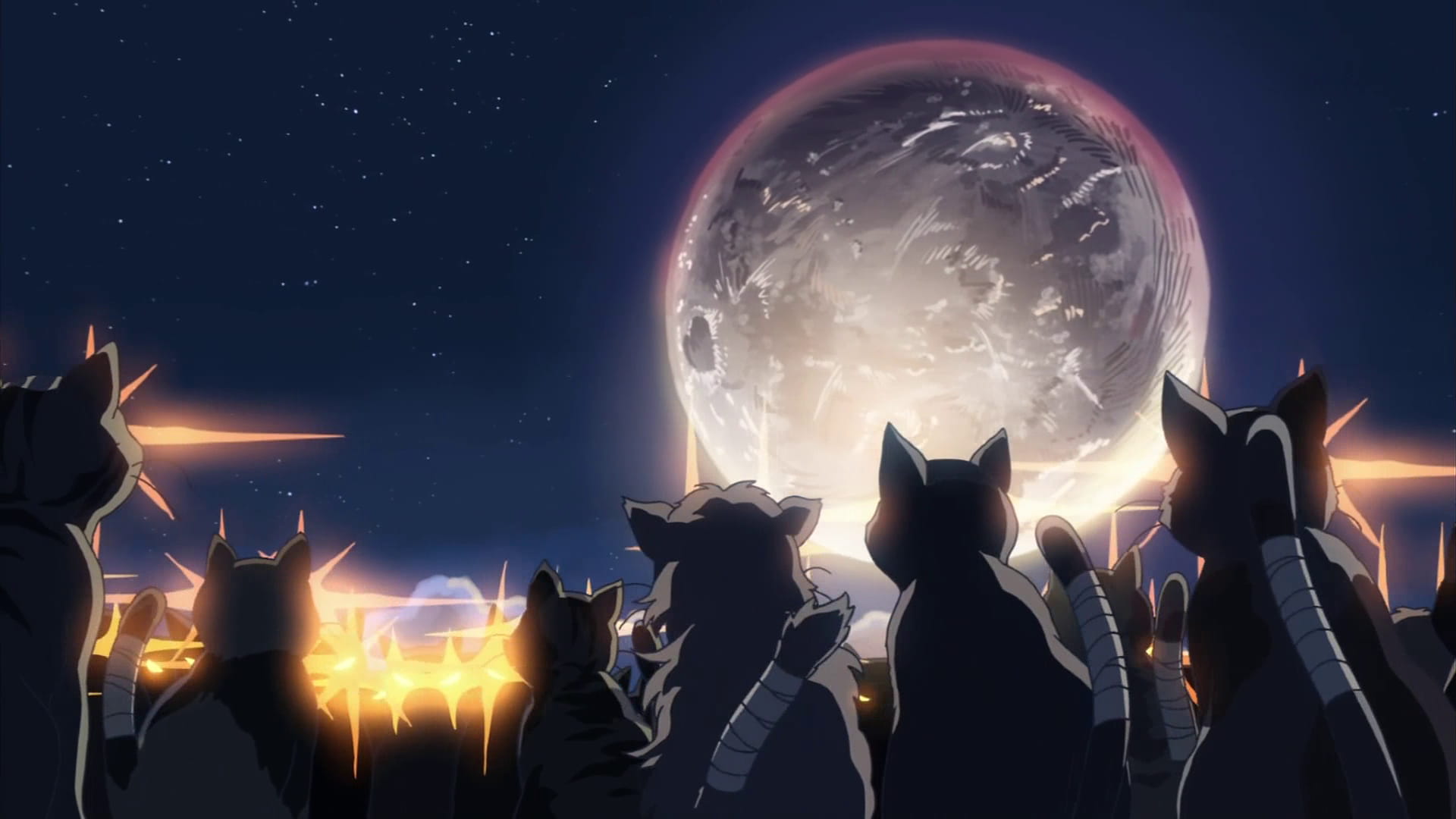 新海诚作品 猫的集会 动漫电脑壁纸下载