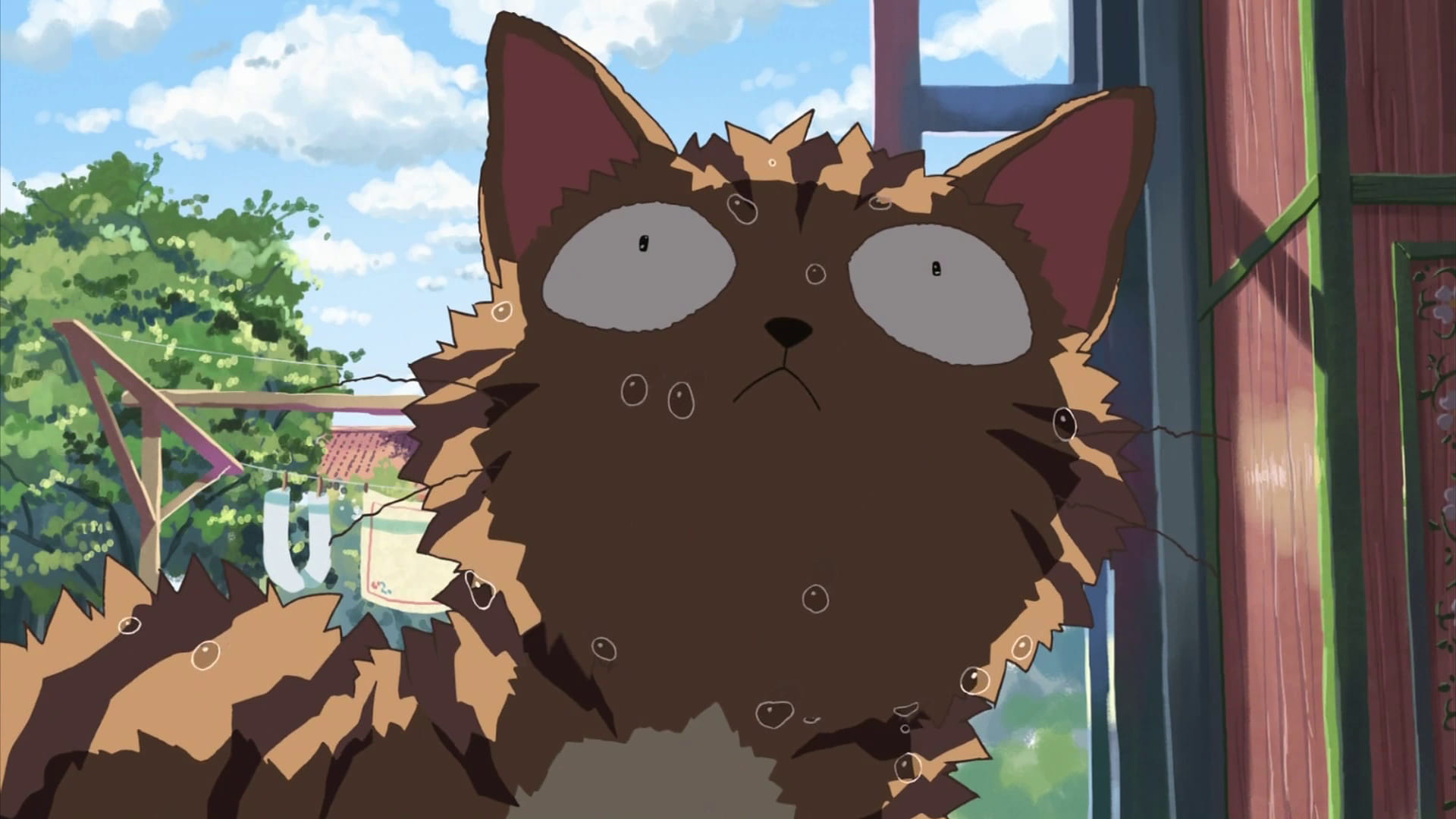 新海诚作品 猫的集会 动漫电脑壁纸下载