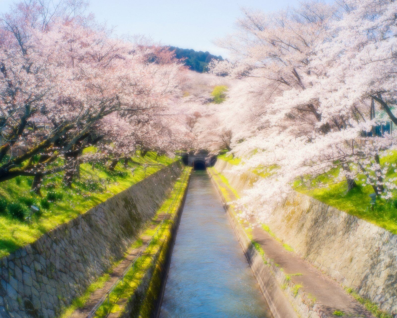 精美画质二次元风景图 滚动手机壁纸(1)