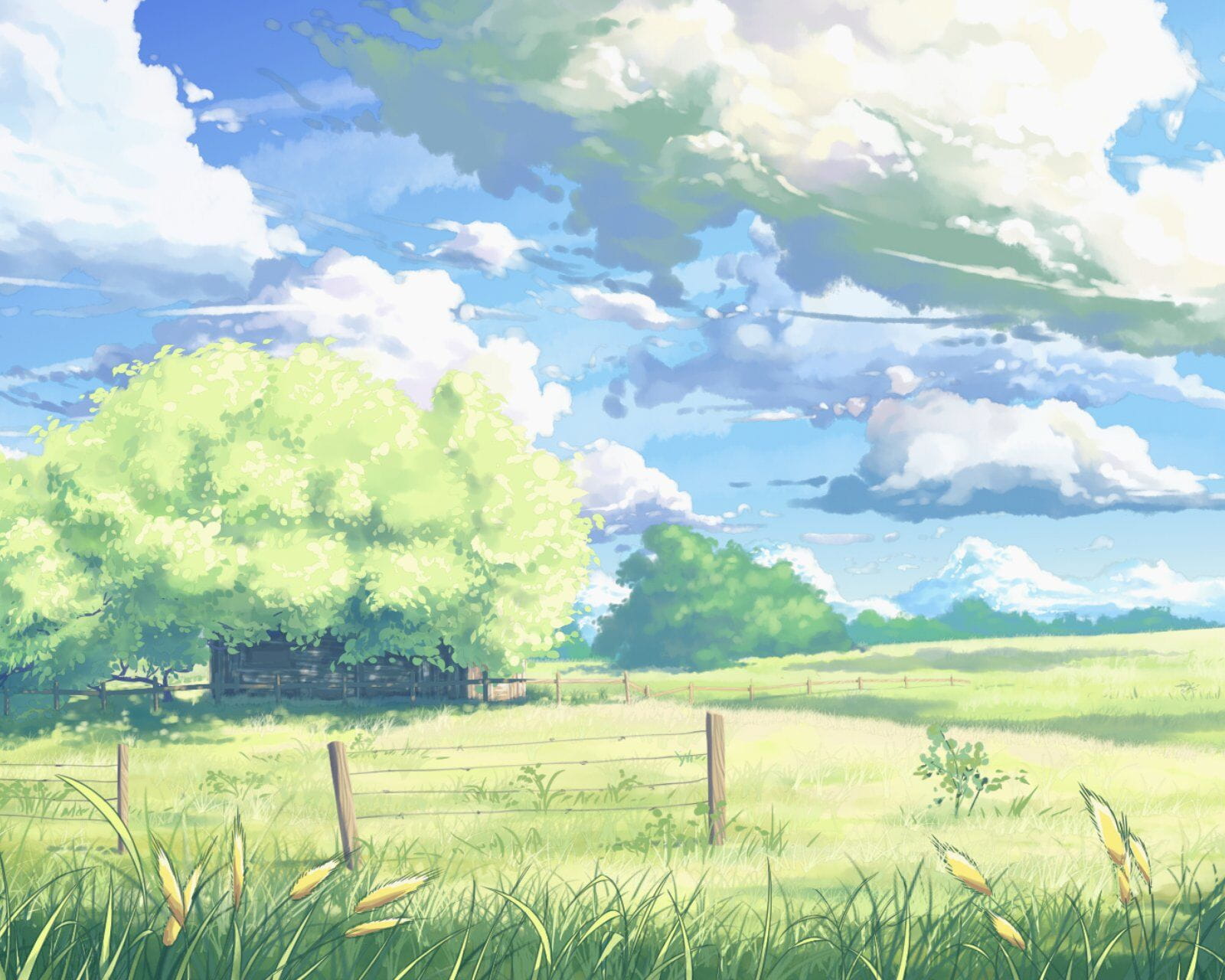 精美画质二次元风景图 滚动手机壁纸(1)