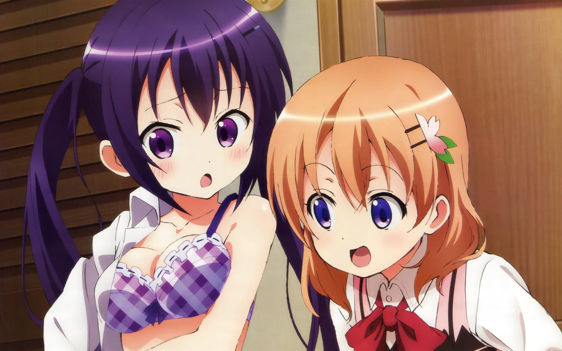 请问您今天要来点兔子吗动漫高清电脑桌面壁纸(1)