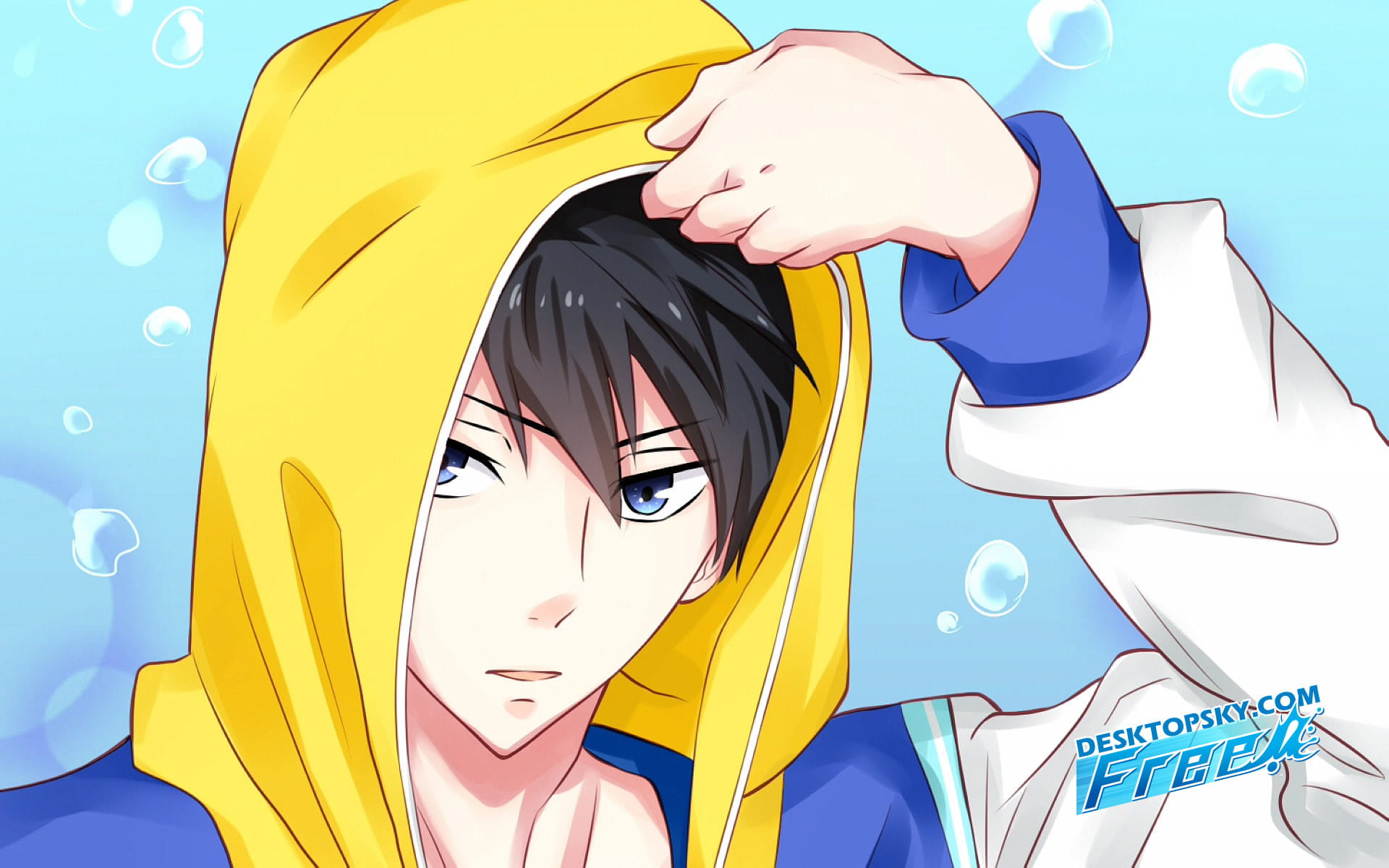 Free男子游泳部高清动漫桌面壁纸(二)(1)