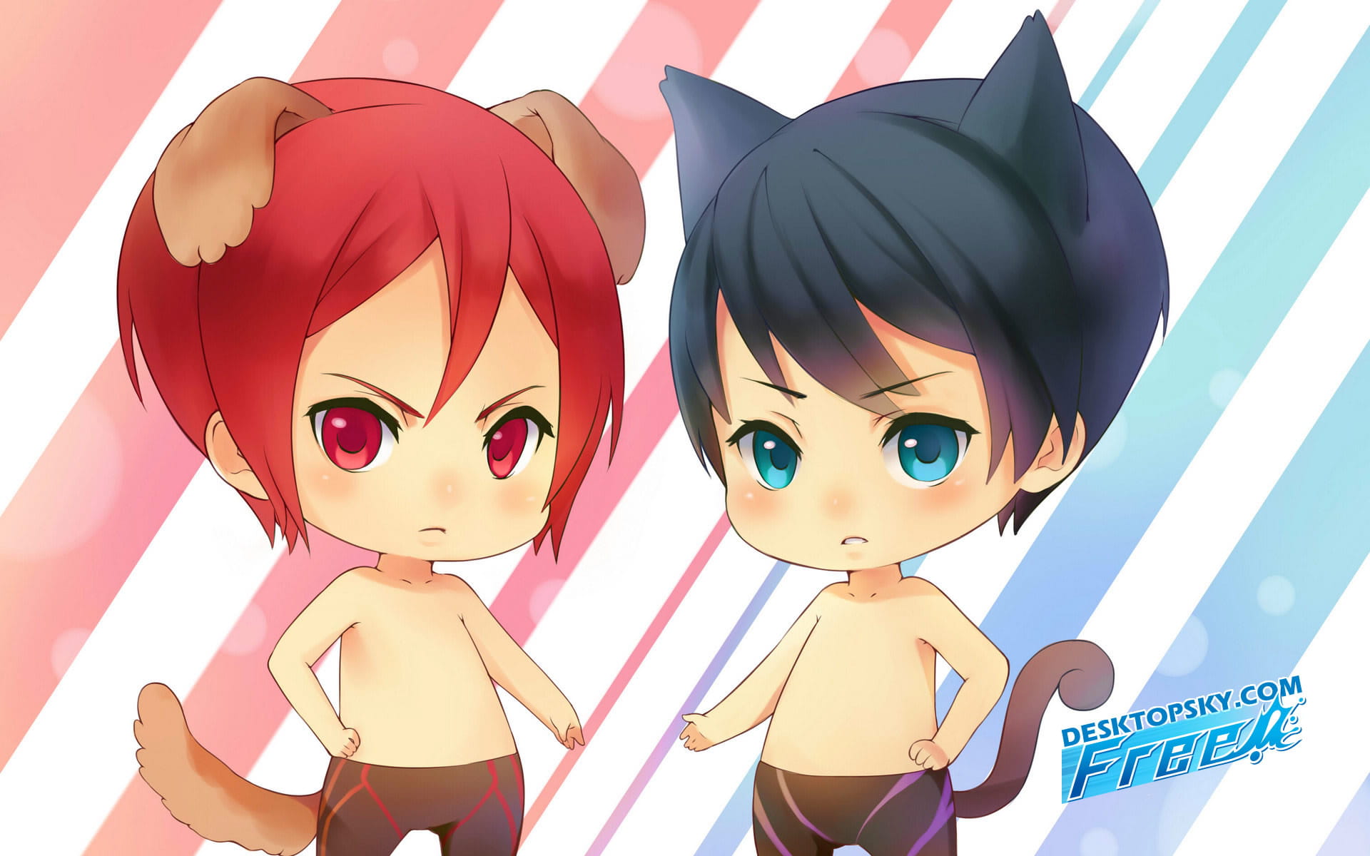 Free男子游泳部高清动漫桌面壁纸(二)(1)