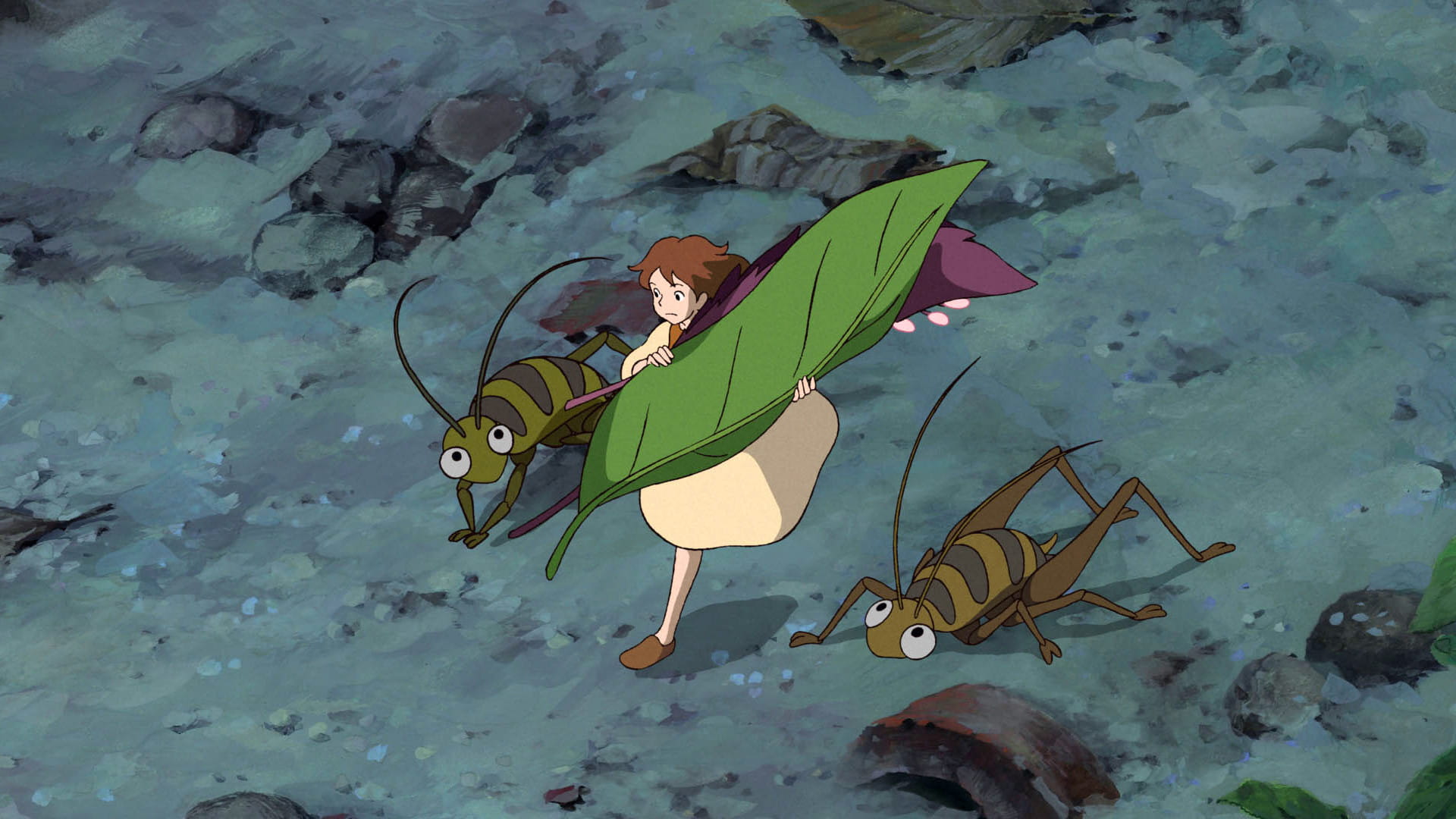 借东西的小人阿莉埃蒂高清动漫电脑壁纸(1)