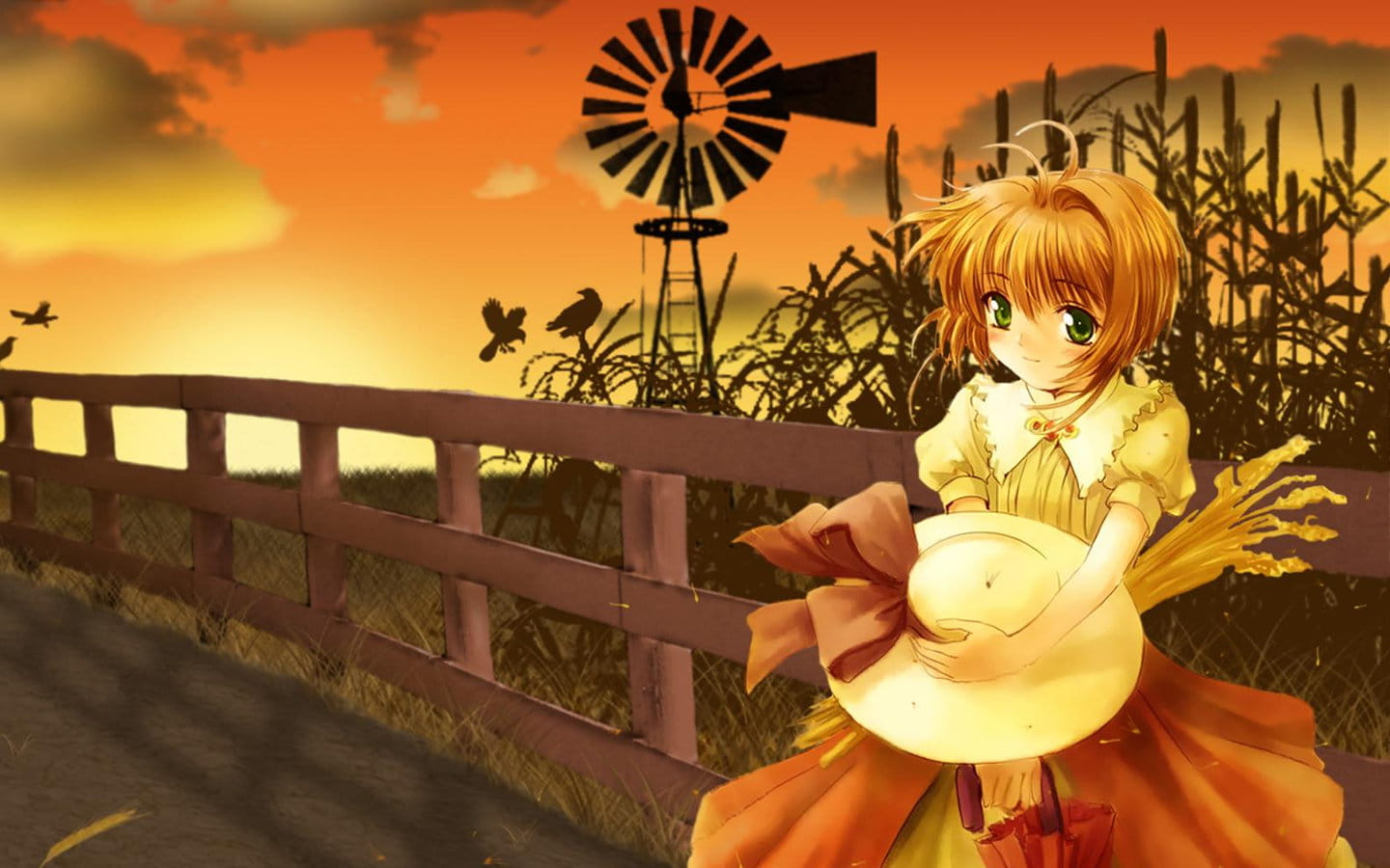 初代萌王百变小樱魔术卡木之本樱电脑壁纸(1)