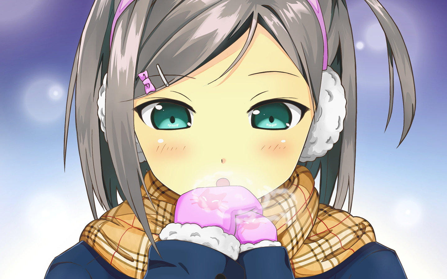 动画变态王子与不笑猫高清电脑壁纸(1)