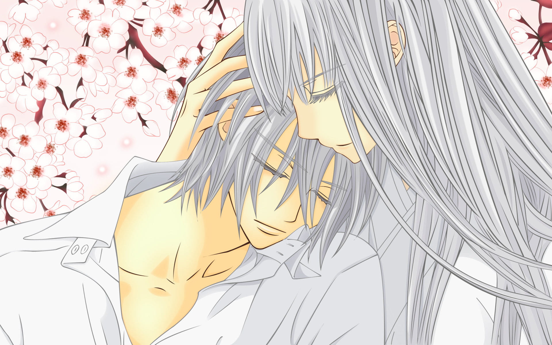 吸血鬼骑士美男美女动漫电脑壁纸第二辑下载(1)