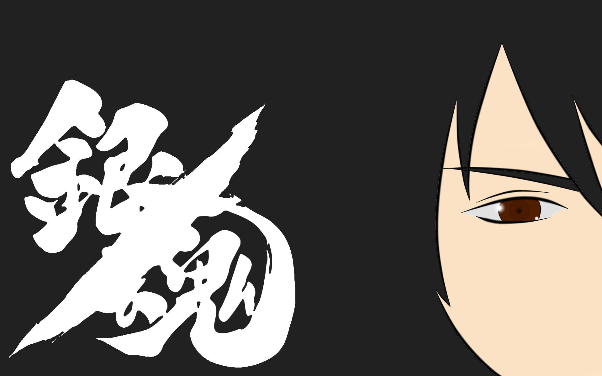 银魂 坂田银时 动漫电脑壁纸第三辑下载(1)