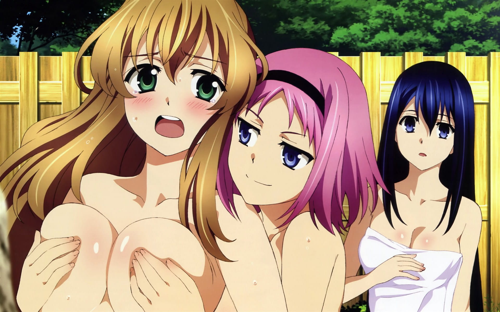 最受欢迎女主 黑长直黑羽宁子电脑壁纸(1)