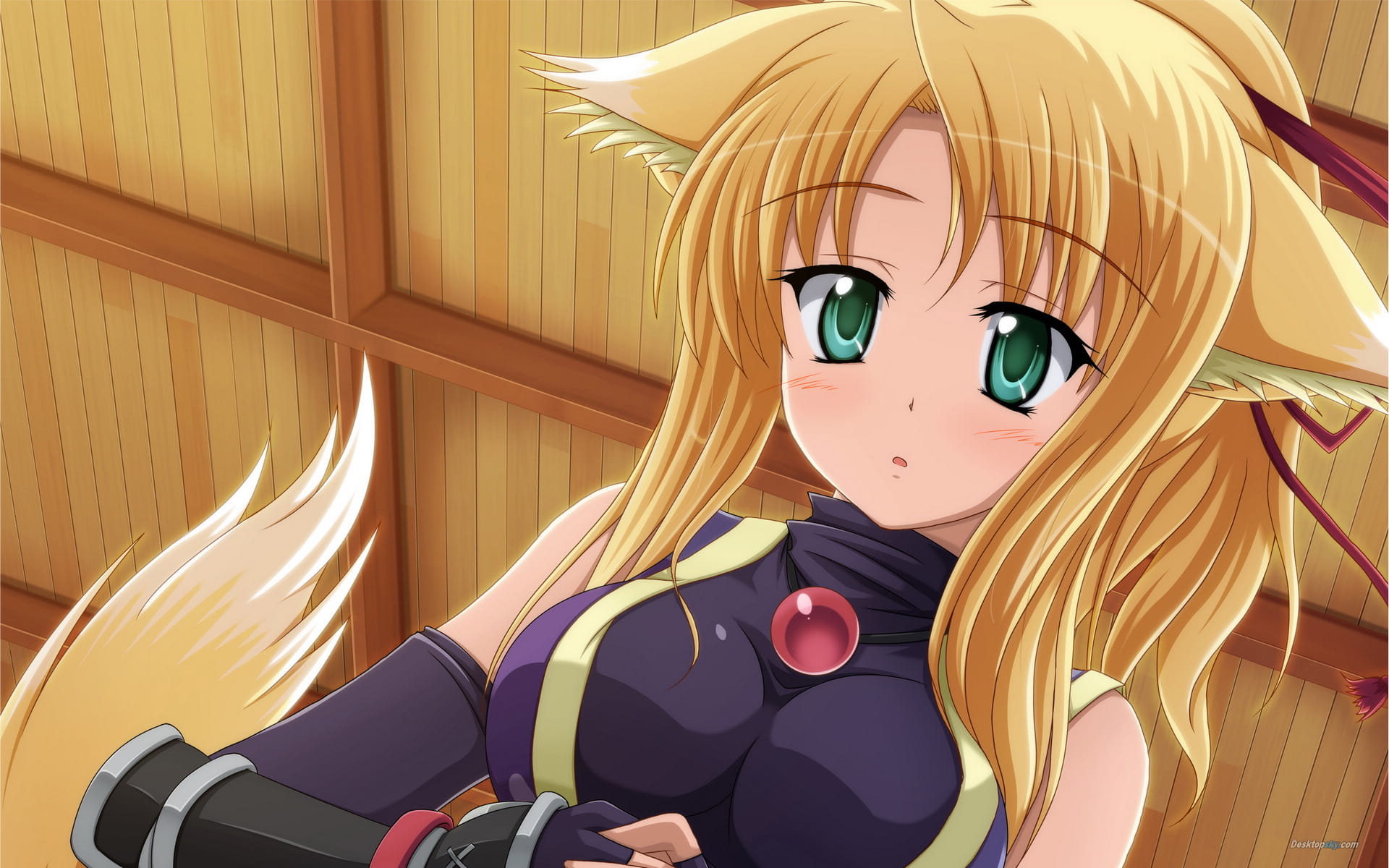 dog days 动漫美少女高清电脑壁纸下载第一辑(1)