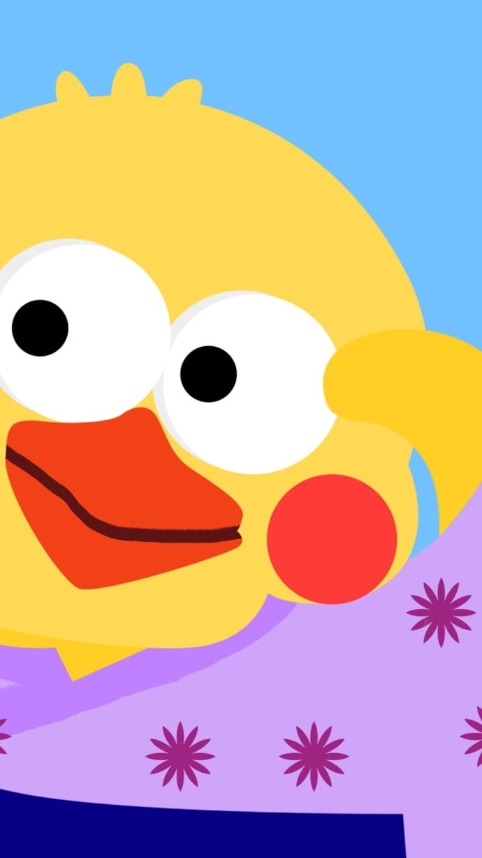 新晋网红 鹦鹉兄弟手机壁纸收集(1)