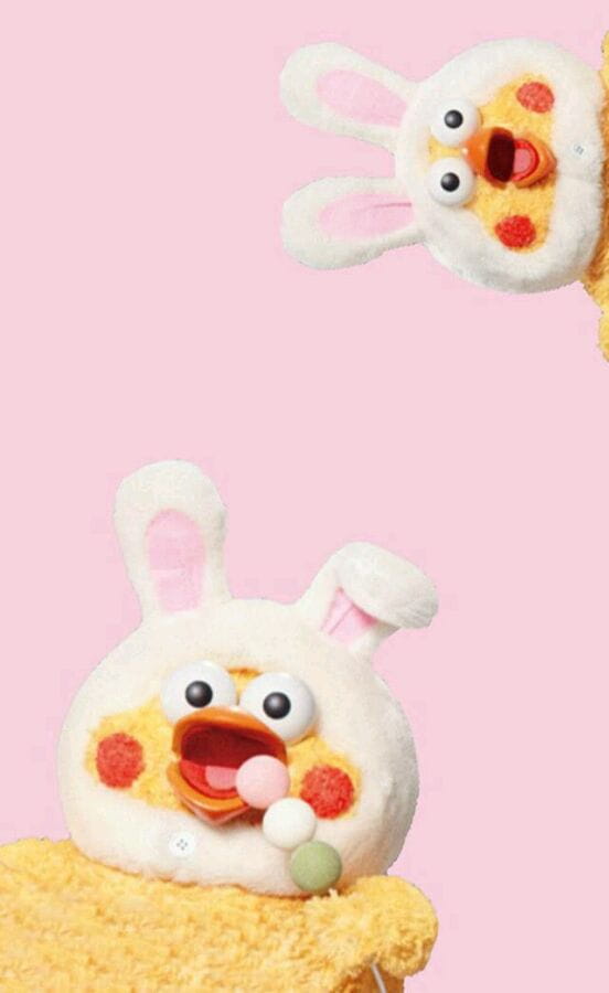 新晋网红 鹦鹉兄弟手机壁纸收集(1)