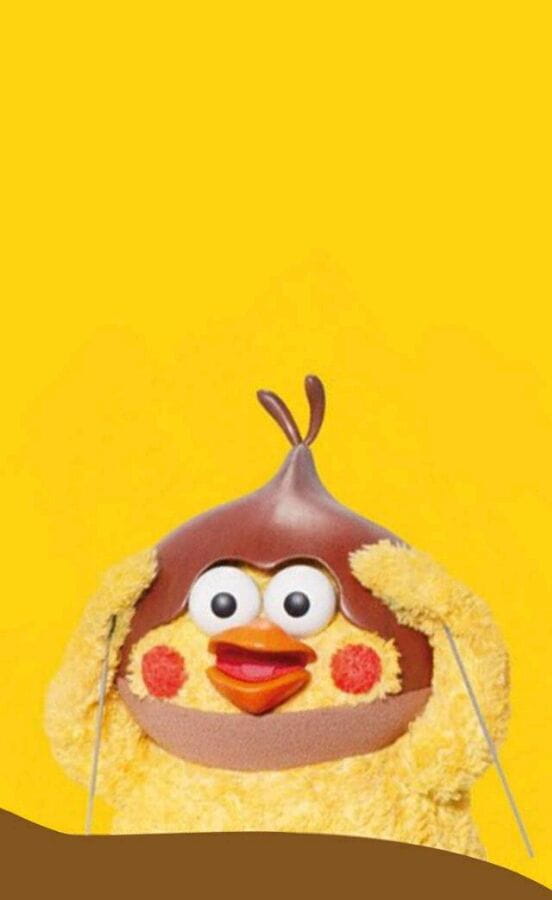 新晋网红 鹦鹉兄弟手机壁纸收集(1)