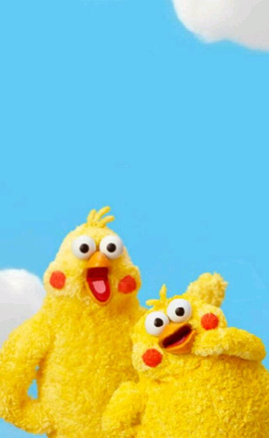 新晋网红 鹦鹉兄弟手机壁纸收集(1)