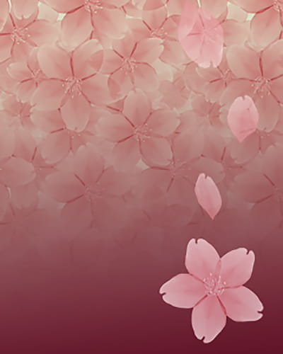 P站画师精心之作 樱花系列素材手机壁纸(1)