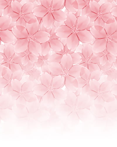 P站画师精心之作 樱花系列素材手机壁纸(1)