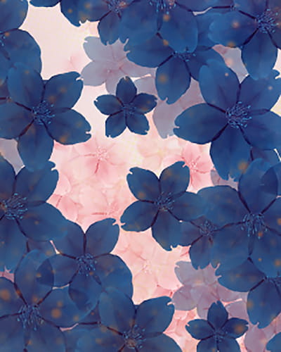 P站画师精心之作 樱花系列素材手机壁纸(1)