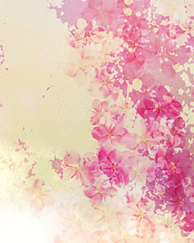 P站画师精心之作 樱花系列素材手机壁纸(1)