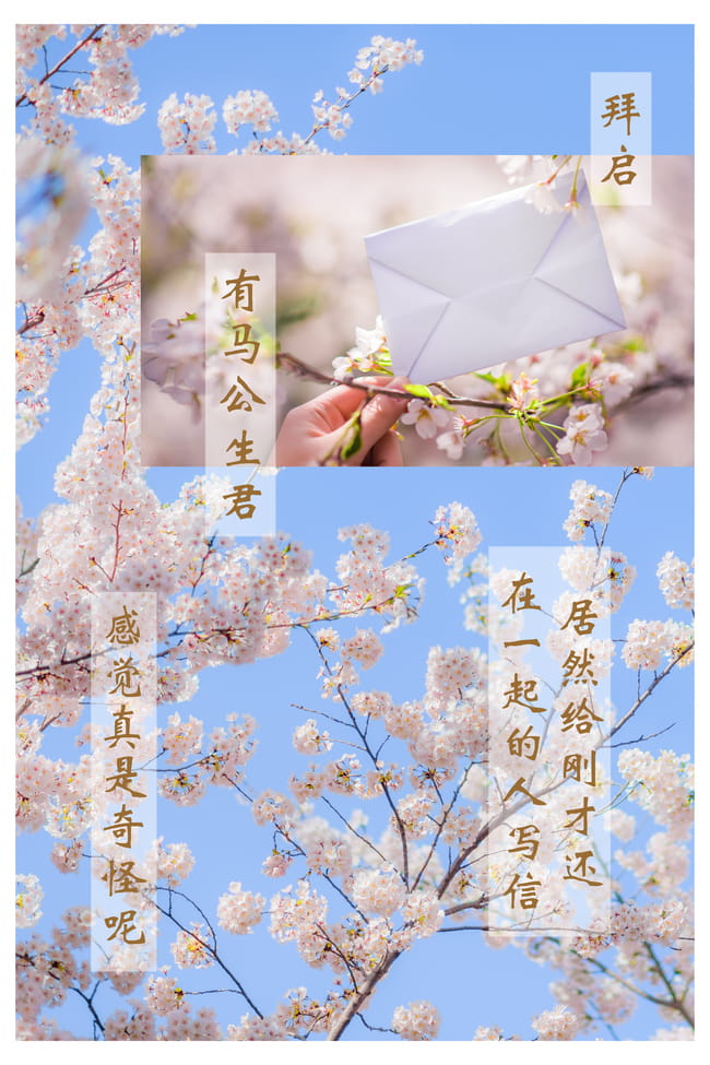 再也没有你的春天 就要来了 四月是你的谎言 宫园薰cosplay(1)