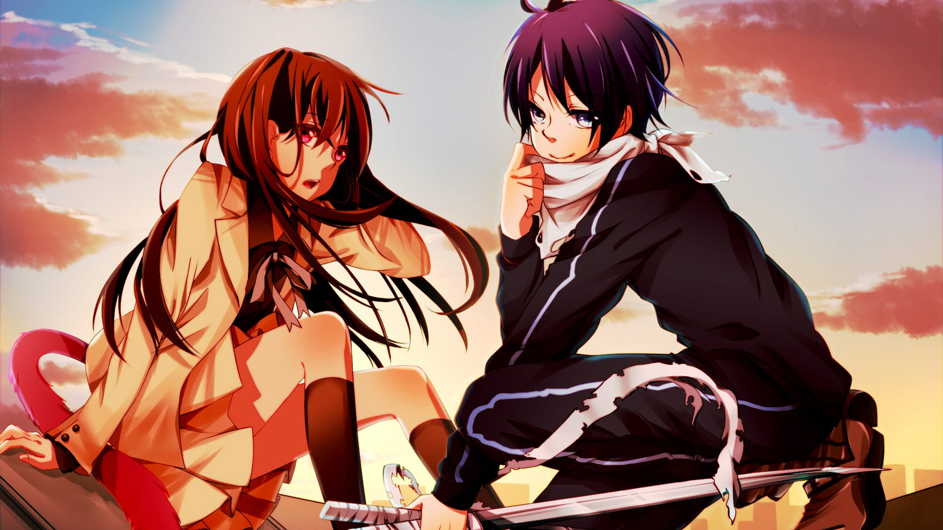 彼岸与此岸的交集 野良神高清电脑壁纸(1)