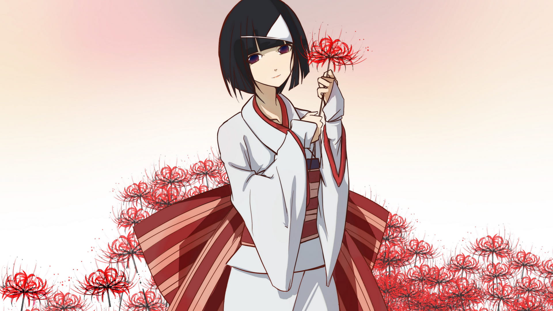 彼岸与此岸的交集 野良神高清电脑壁纸(1)