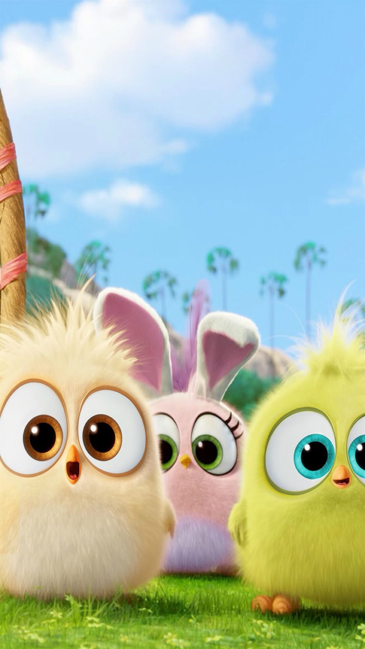 智斗大猪头 愤怒的小鸟手机壁纸