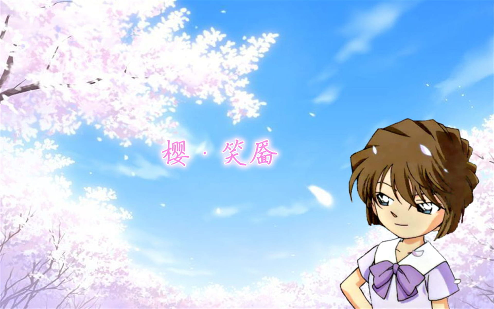 名侦探柯南动漫电脑桌面壁纸高清下载第二辑(1)