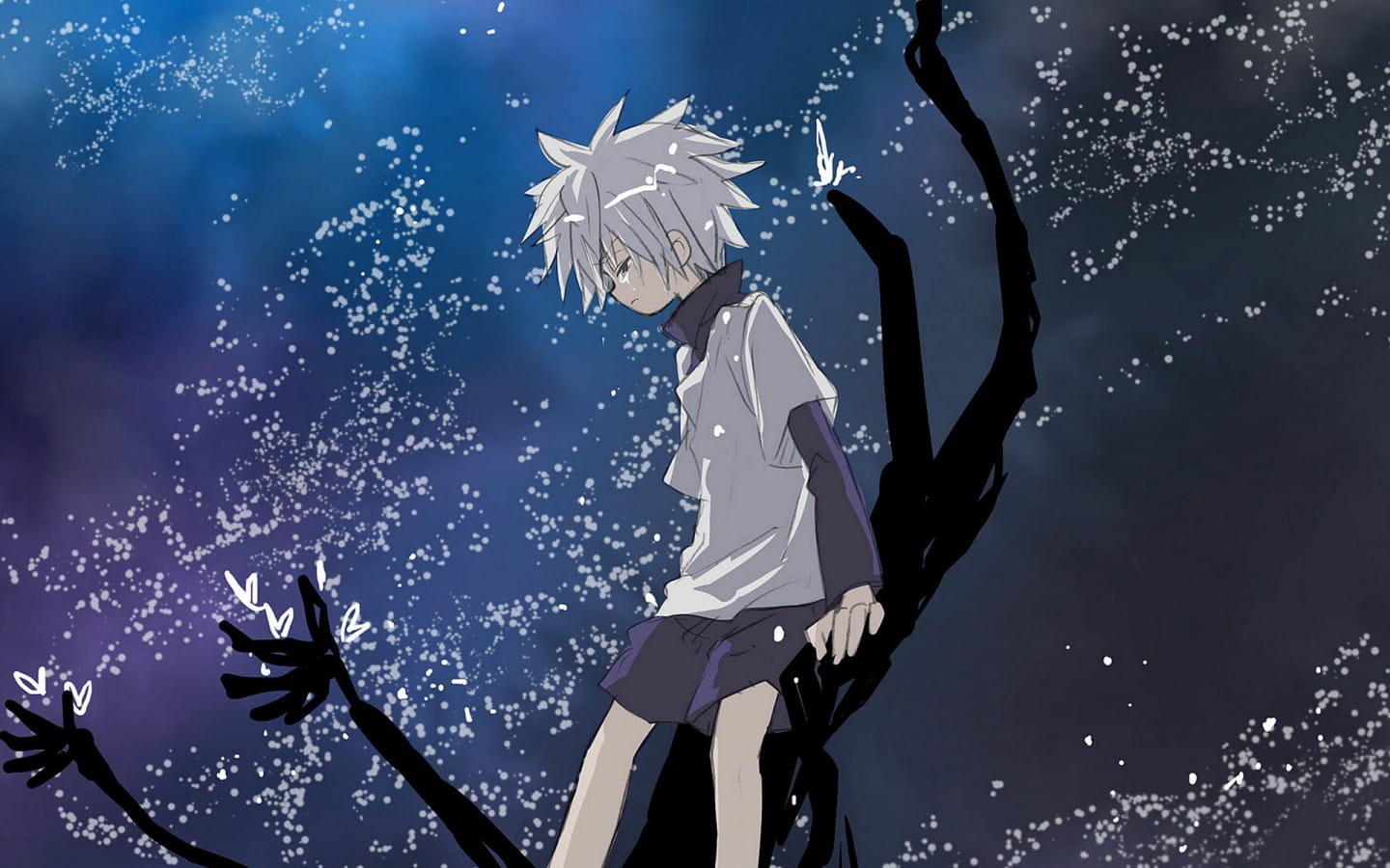 全职猎人高清动漫电脑壁纸下载第二辑(1)