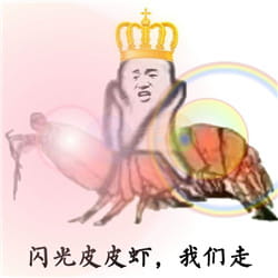 皮皮虾我们走表情包下载