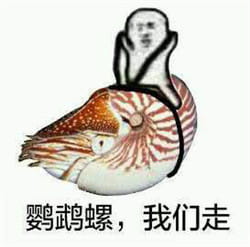 皮皮虾我们走表情包下载