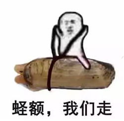 皮皮虾我们走表情包下载