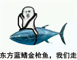 皮皮虾我们走表情包下载