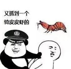皮皮虾我们走表情包下载