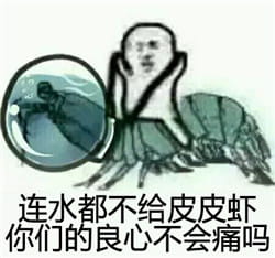 皮皮虾我们走表情包下载