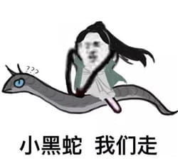 皮皮虾我们走表情包下载