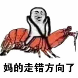 皮皮虾我们走表情包下载