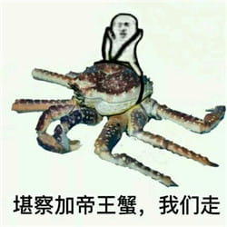 皮皮虾我们走表情包下载