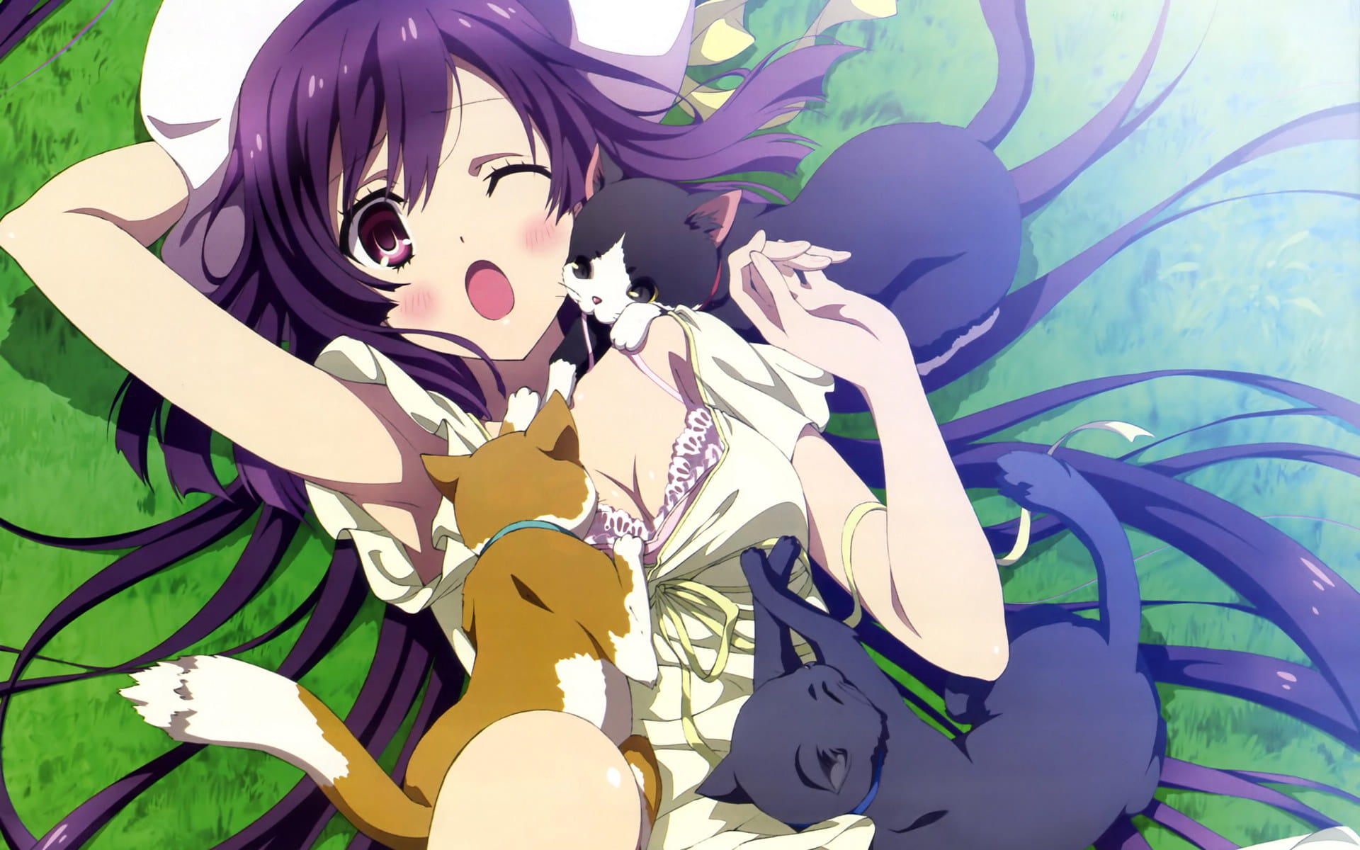 超越时空的幻想 东京暗鸦电脑壁纸(1)