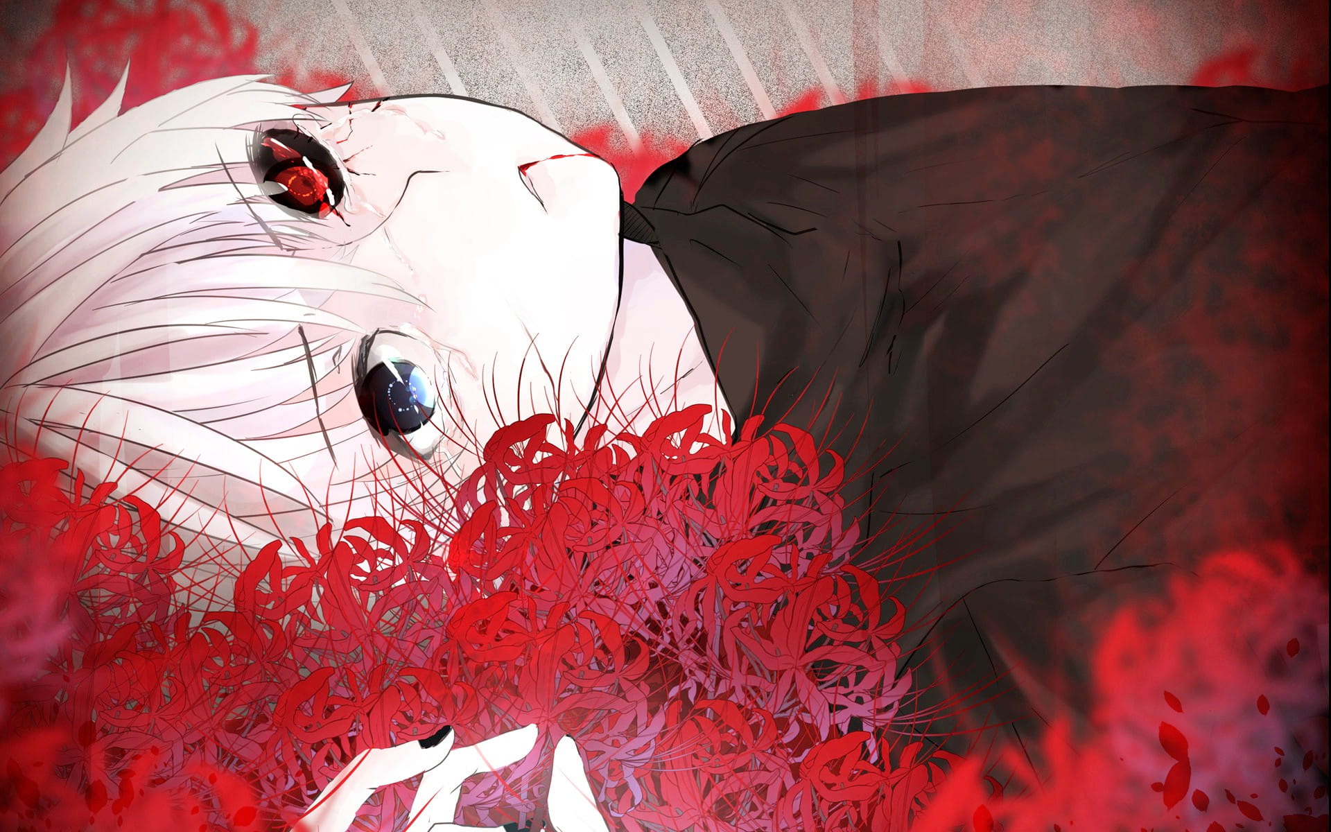 东京搜查官 金木小天使 动漫高清电脑壁纸下载(1)