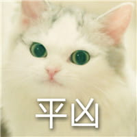 猫咪超凶 世界最凶的猫咪表情包