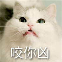 猫咪超凶 世界最凶的猫咪表情包